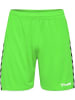 Hummel Sportshorts in Grün