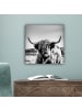 OnlyWow Leinwand Bilder Schottisches Hochlandrind
