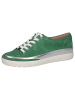 Caprice Sneaker in GREEN SUEDE