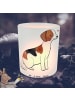 Mr. & Mrs. Panda Kerzenhalter Foxhound Moment ohne Spruch in Transparent