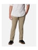 Columbia Silver Ridge Convertible Pants in Braun