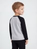 TupTam Baby Jungen Langarmshirt 5er Set in grau/grün