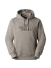 The North Face Kapuzensweat M DREW PEAK LIGHT REGULAR HOODIE in Steingrau071