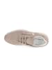 Armata di Mare Sneaker AMDSS31H07-TAUPE Braun