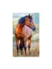Wisam® Pferd Brown Handtuch Gesichtstuch, Handtuch 30x50cm