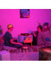 relaxdays 2tlg. Trinkspiel Set "Ludo" in Transparent