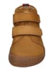 KOEL Sneaker High DON 2.0 in braun