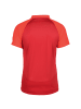 Nike Performance Poloshirt Academy Pro in rot / dunkelrot