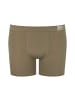 Sloggi Boxershort 4er Pack in Braun Mix