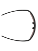 Alpina Sonnenbrille Eagle Q-Lite in schwarz-rot