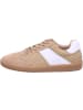 Apple of Eden Sneaker Low in braun