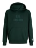 JACK & JONES Junior Kapuzenpullover in Pine Grove