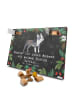 Mr. & Mrs. Panda Hunde Adventskalender Boston Terrier Moment mit... in Kreidetafel