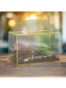 relaxdays Pflanzenterrarium "Haus" in Gold - (B)30 x (H)27 x (T)15 cm