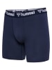 Hummel Boxer Hmlboxers Lebensstil Herren in MARINE