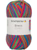 Schachenmayr since 1822 Handstrickgarne Bravo Color, 50g in Electra