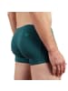 EIN SCHÖNER FLECK ERDE Boxershort 1er Pack in Schöner Mann (Petrol)
