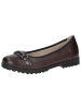Caprice Ballerina in BORDEAUX COMB