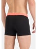 Adidas Sportswear Retro Short / Pant Active Micro Flex in Dunkelblau / dunkelrot