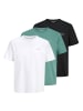 Jack and Jones 3er Pack T-Shirts College Logo Tee SS Crew Neck in Mehrfarbig