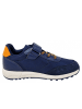 Geox Klettschuh Alben in Blau