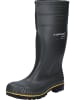 Dunlop Stiefel Acifort in grün