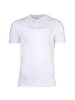 Armani Exchange T-Shirt 1er Pack in Weiß