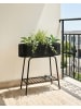 Beliani Indoor Blumentopf LINNAEA in Schwarz - (W) 60 x (H) 60 x (L) 24 cm