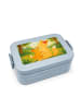 Mr. & Mrs. Panda Lunchbox Fuchs Mama Design ohne Spruch in Blau Pastell