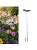 relaxdays Vogeltränke "Blüte" in Braun - (B)19,5 x (H)93 x (T)17 cm