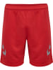 Hummel Kurze Hose Hmllead Herren in TRUE RED