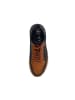 Tom Tailor Sneaker low in Braun