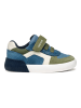 Geox Sneaker in Blau/Braun