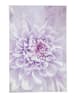 Kleine Wolke Badteppich Dahlia in lavendel