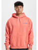 2Y Studios 2Y Studios Kapuzenpullover in orange
