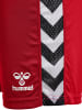 Hummel Kurze Hose Playful Shorts Erwachsene in TRUE RED