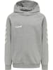 Hummel Hummel Cotton Kapuzenpullover Hmlgo Multisport Unisex Kinder in GREY MELANGE