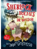 EGMONT Schneiderbuch Buch - Sherlock Holmes & Dr. Watson. Die Jagd nach dem Geisterzug (Band 1)