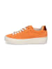 Gabor Comfort Sneaker in Orange