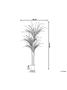 Beliani Kunstpflanze DRACAENA ANITA in Grün/Schwarz - (W) 88 x (H) 198 x (L) 88 cm