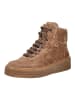 Nero Giardini Stiefelette in Braun