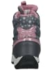 Geox Stiefelette in Grau/Pink