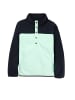 Burton W HEARTH FLEECE PULLOVER in Grün