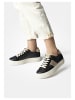 Paul Green Sneaker in Schwarz/Gold