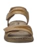 Josef Seibel Sandale Brenda 08 in beige