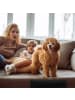 relaxdays Hundetreppe in Schwarz - (B)35x (H)30 x (T)45 cm