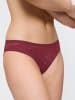 Triumph Brasilslip Amourette Charm Brazilian in SWEET MARSALA