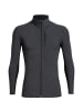 icebreaker Jacke Descender LS Zip in Dunkelgrau