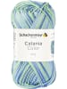 Schachenmayr since 1822 Handstrickgarne Catania Color, 50g in Fresh