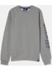 Dickies Pullover "Okemo Graphic Sweatshirt (BCI)" in Grau